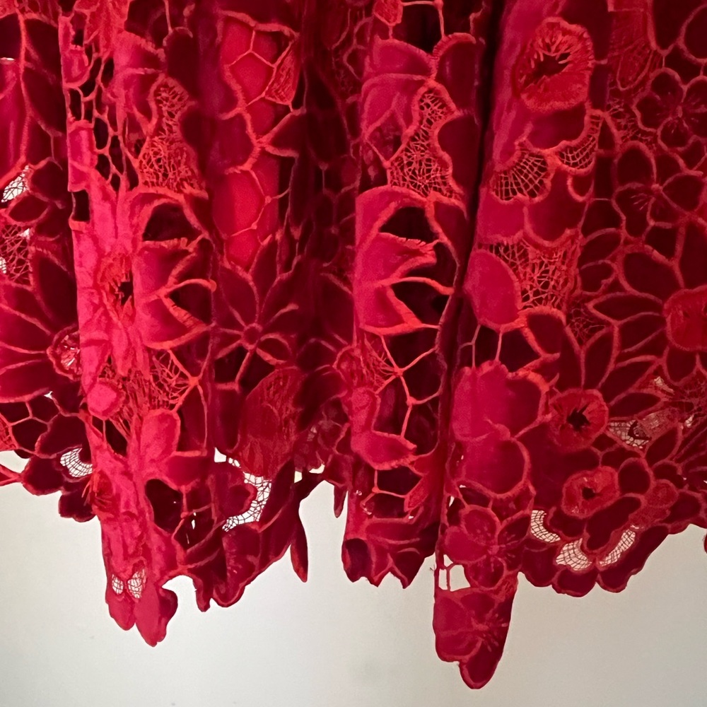 Boston Proper Red Floral Lace Dress - Picture 3 of 5